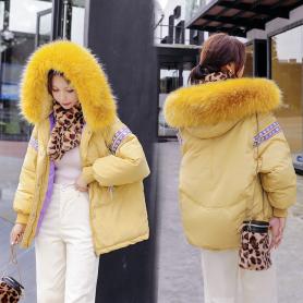 东大门港风羽绒棉服加厚冬装2019年新款冬天外套女韩版新款棉衣